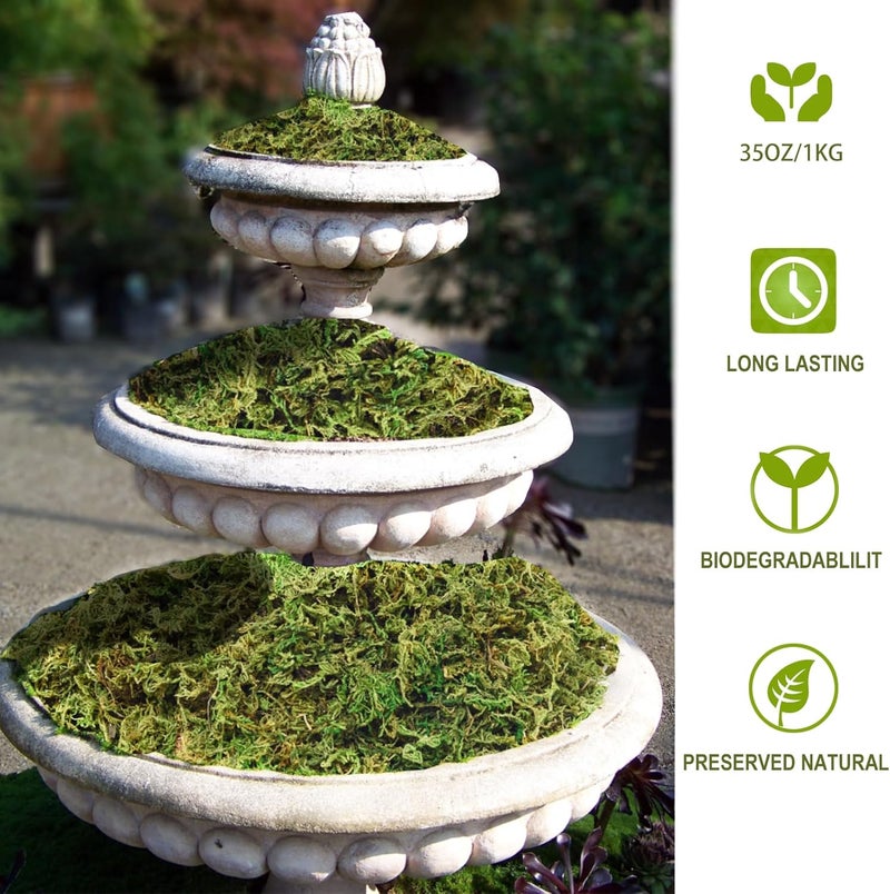 ZYAPA 35 OZ Moss for Potted Plants Fake Moss for Fake Plants,Artificial Moss for Crafts,Faux Moss for Fake Plants Decroative Moss Artificial Green Moss - Image 3